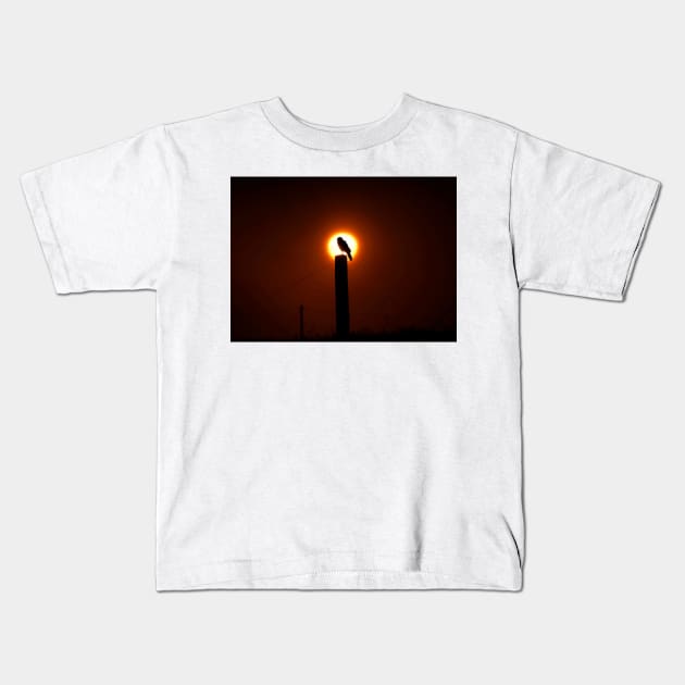 phoenix Kids T-Shirt by jmpznz